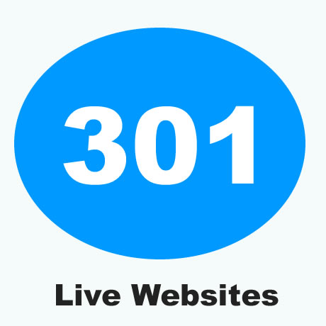i manage 250 websites